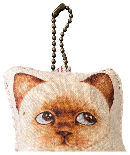 고양이 인형 머리