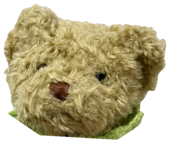 줄무늬 곰 인형 머리