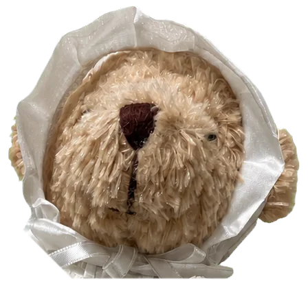 보닛 곰 인형 머리